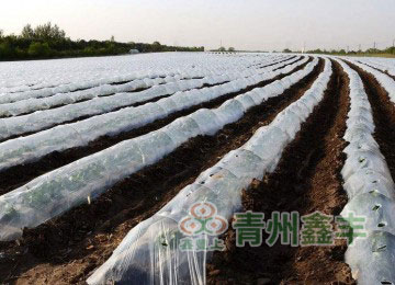 工程案例