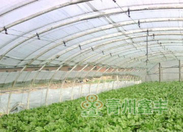 工程案例