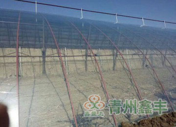 五层共挤水晶PO膜