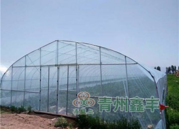 消雾膜