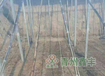 工程案例