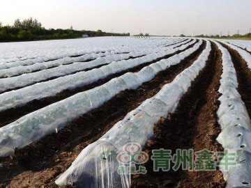 工程案例