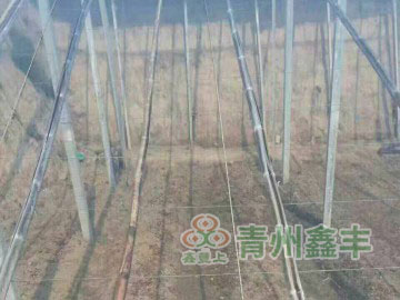 工程案例