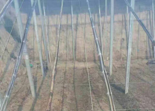 三层共挤水晶PO膜